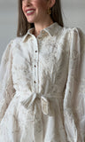 Gold Embroidered Collar Mini Dress