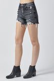 High Rise Distressed Shorts