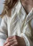 Ruffled V-neck Long Sleeve Blouse