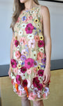 Floral Embroidered Sleeveless Mini Dress