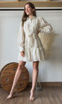 Gold Embroidered Collar Mini Dress