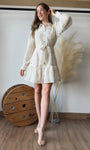 Gold Embroidered Collar Mini Dress