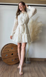 Gold Embroidered Collar Mini Dress