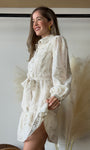Gold Embroidered Collar Mini Dress